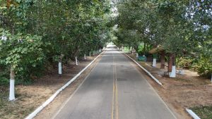 Estrada da Borracha