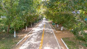 Estrada da Borracha