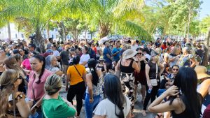 Greve educação
