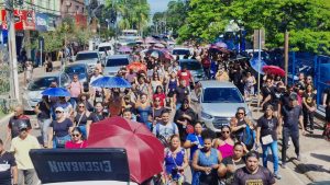 Greve educação