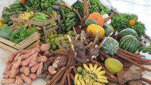 Agricultura familiar