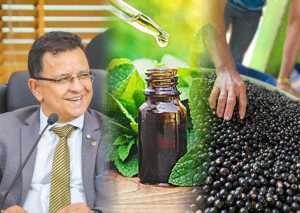 Gonzaga açaí