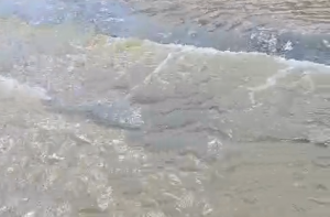 Rio Macauã seco