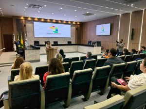 TCE queimadas