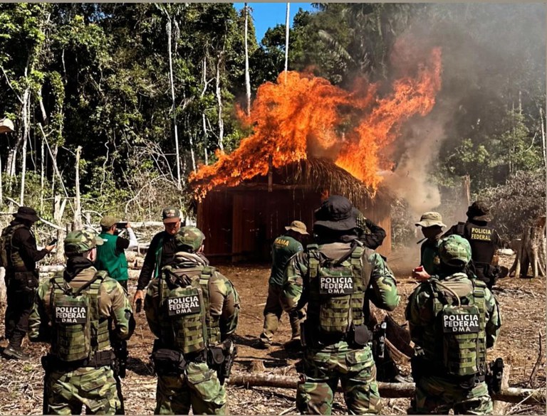 Acre e Sul do Amazonas recebem reforço da PF no combate a crimes ambientais