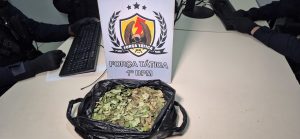 FOLHA DE COCA RUAN TEIXIERAA