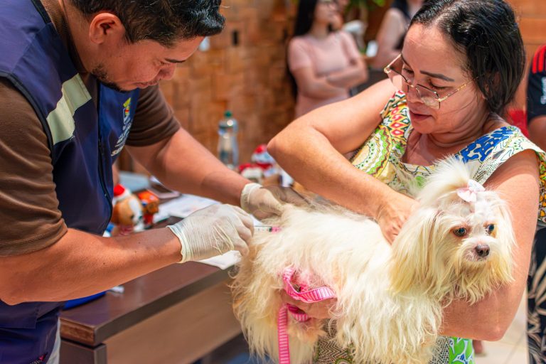 Prefeitura de Rio Branco celebra sucesso de ação com mais de 100 animais vacinados e 10 adoções no Via Verde Shopping