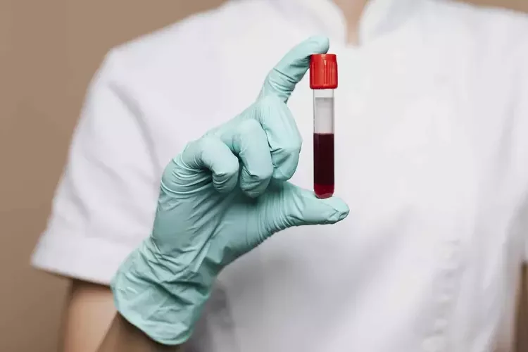 Diagnóstico da hemofilia: campanha alerta que informação salva vidas