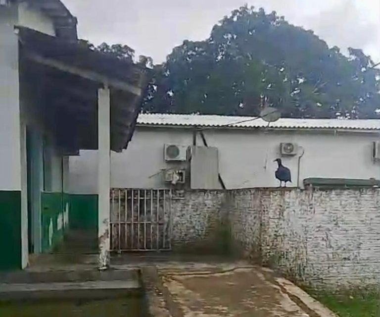 Família denuncia demora do IML após jovem ser encontrado morto em Manoel Urbano