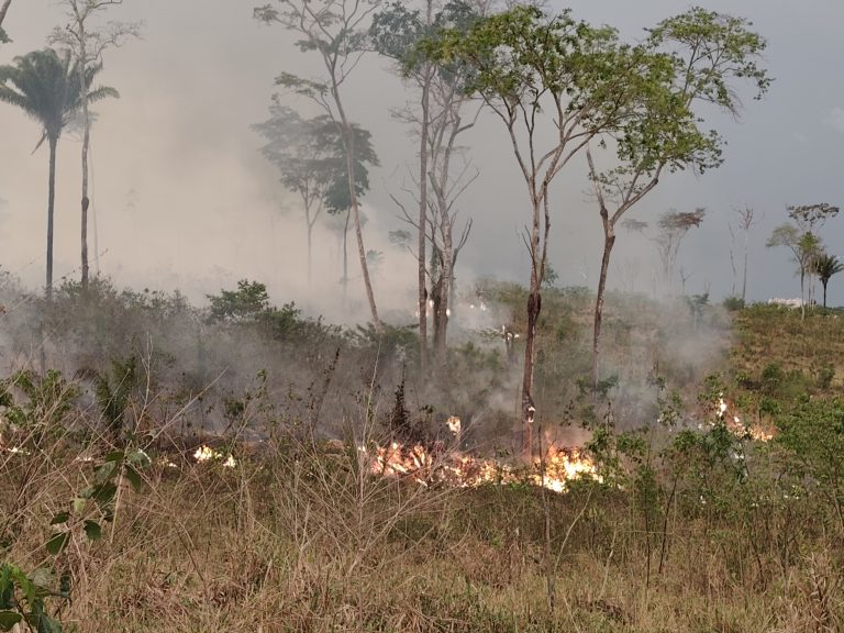 Com época das queimadas se aproximando, Rio Branco tem portal de denúncias online para combate aos crime ambientais