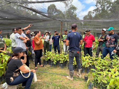Experiências no Pará inspiram produtores da Resex Chico Mendes a apostar em agroflorestas