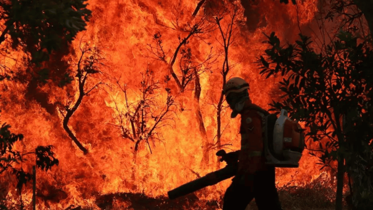 Rio Branco cria comissão que vai credenciar fornecedores para execução de serviços de brigadistas florestais