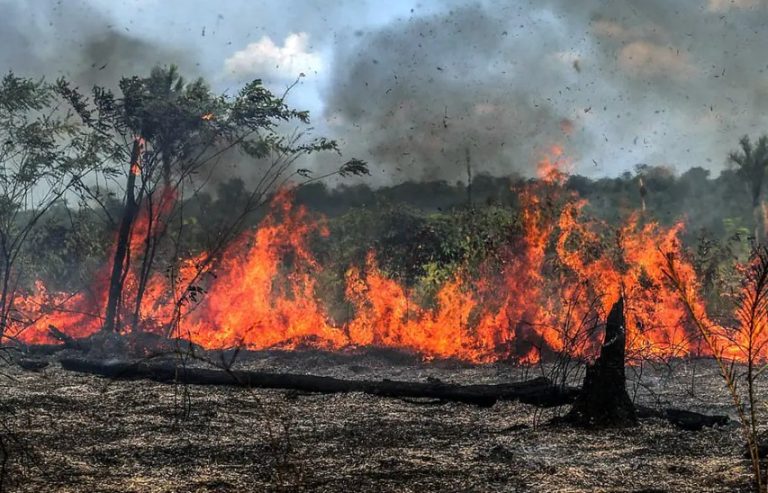 Feijó concentra maior número de propriedades notificadas pelo Ibama no Acre para prevenção de incêndios