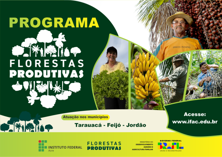 Ifac publica edital para atuação no Programa Florestas Produtivas, com bolsas de até R$ 5.720,00