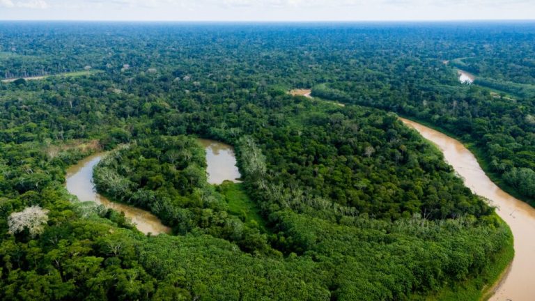 Após divulgação de dados do INPE Acre lidera ranking nacional de redução de queimadas em 2026, com apenas 21 focos de calor