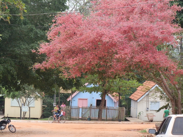 Asfalto em rua de Xapuri esbarra em regras de preservação do entorno da Casa de Chico Mendes
