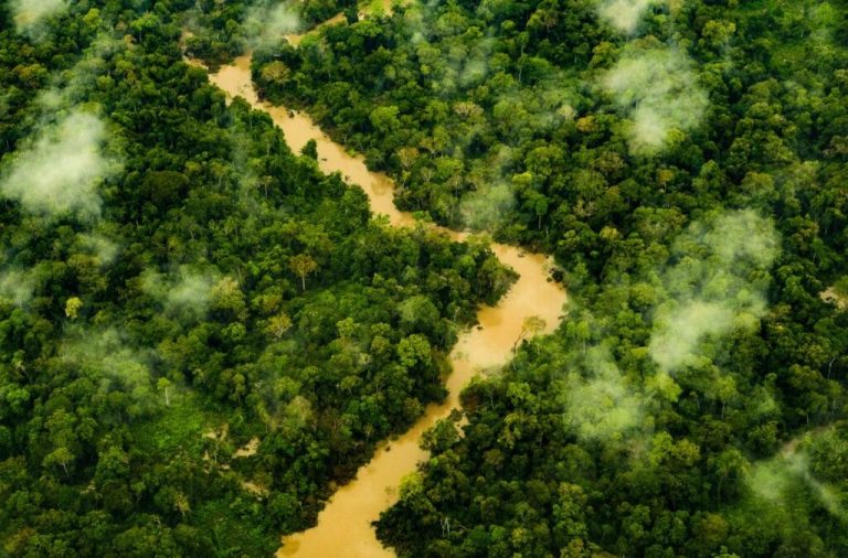 Programa destina R$ 107,1 milhões para pesquisas voltadas à Amazônia e abre oportunidade para pesquisadores da Ufac