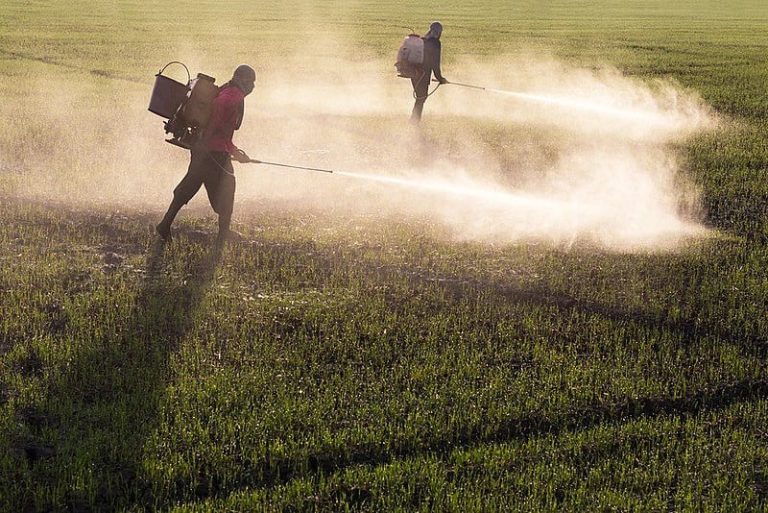 Saúde alerta para riscos de intoxicação por agrotóxicos com expansão agrícola
