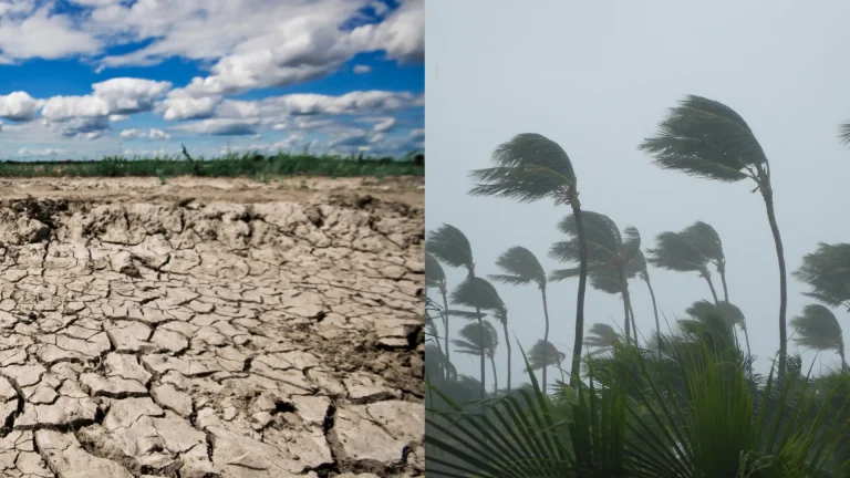 MPAC orienta atuação preventiva diante dos riscos do El Niño 2026/2027 no Acre