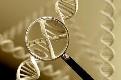 Acre participa de força-tarefa nacional de coleta de DNA de pessoas desaparecidas: confira como participar