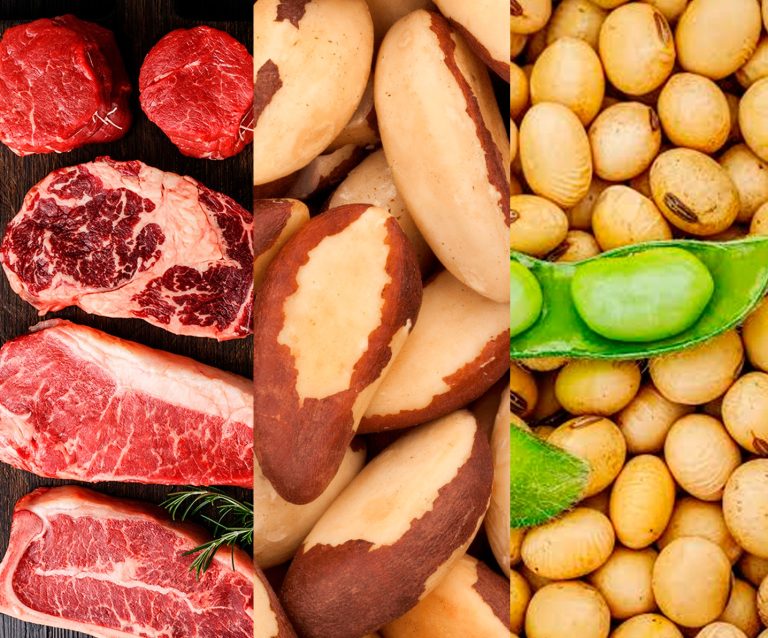 Carne, castanha e soja concentram quase 80% das exportações do Acre em 2026