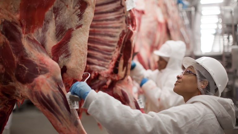 Acre amplia exportações de carne em 78% enquanto abates acumulam alta de 3,7% em 2026