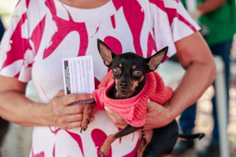 Prefeitura de Rio Branco reforça proteção contra a raiva e vacina 551 animais no sábado