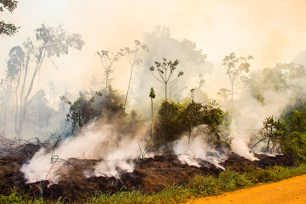 Entenda: Resex Chico Mendes segue entre as unidades de conservação mais desmatadas da Amazônia em setembro