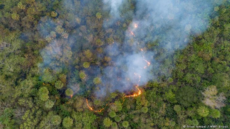 Acre fecha setembro com 877 focos de calor, alta de 80% sobre agosto