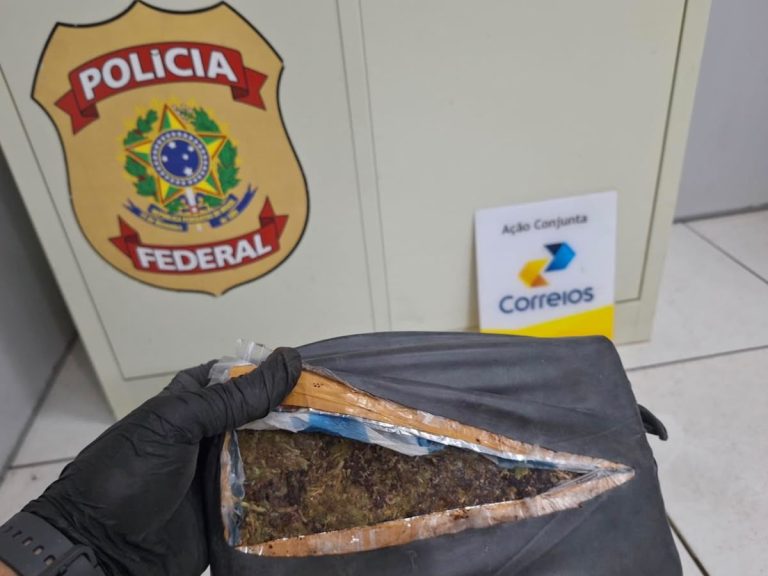 PF apreende mais de 5,5 kg de maconha em encomenda postal